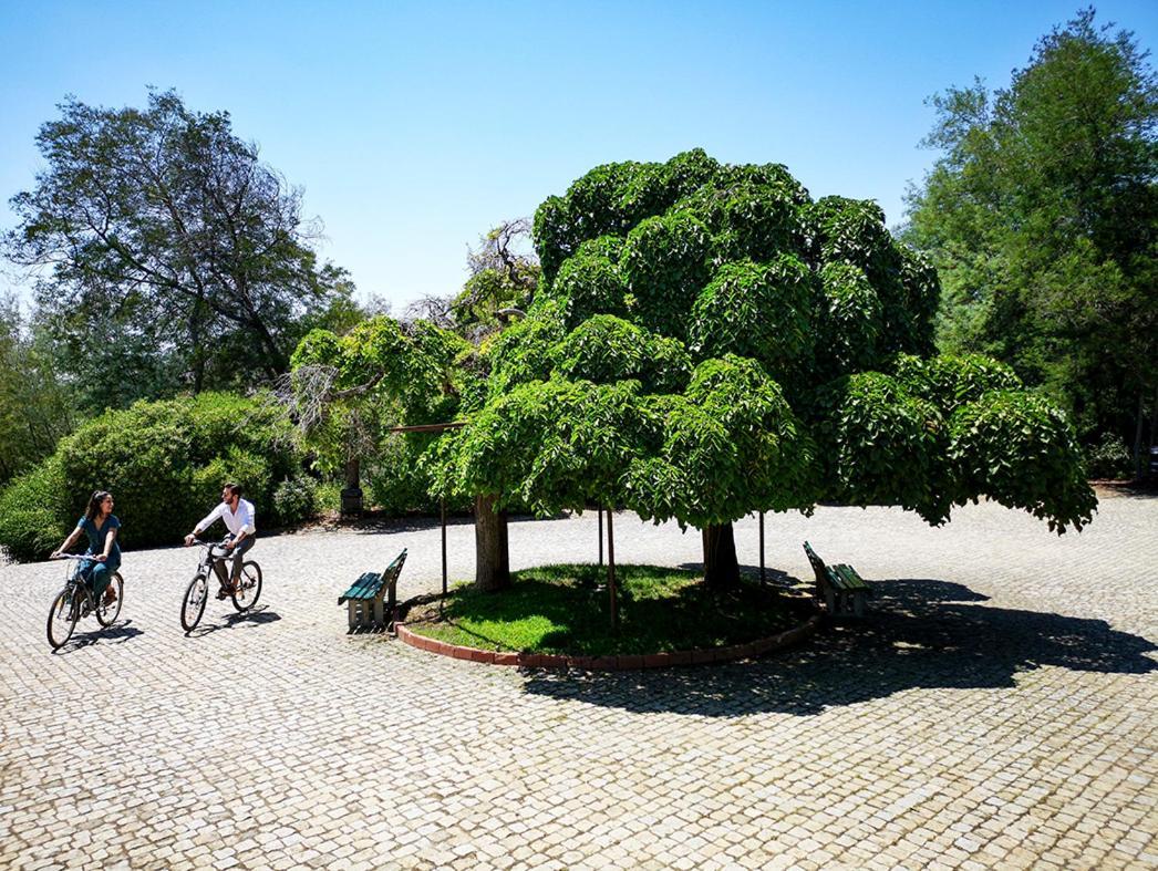 Herdade Clube Tiro Monfortinho Ngoại thất bức ảnh